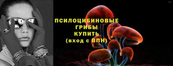 амф Балахна