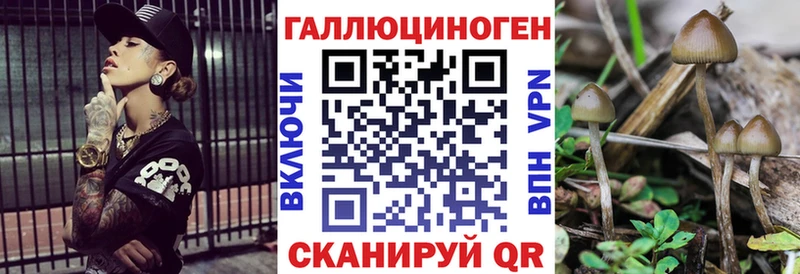 кракен зеркало Велиж Псилоцибиновые грибы Cubensis хочу
